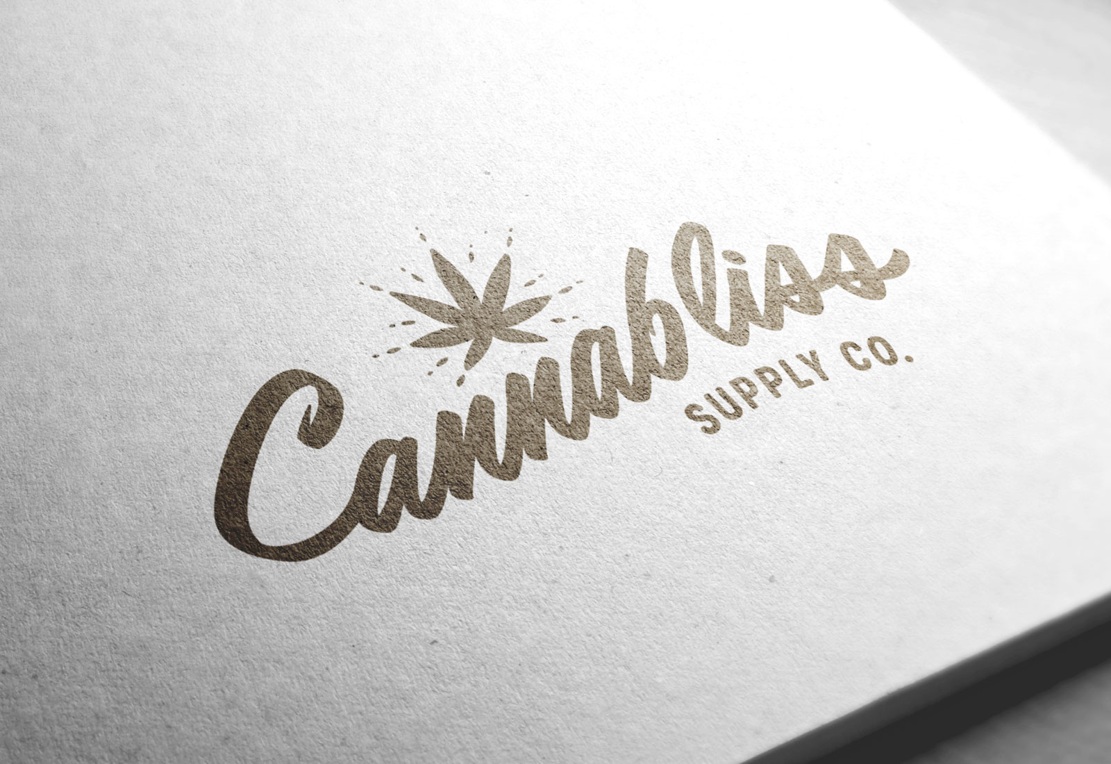 Logo Design for a Marijuana Dispensary